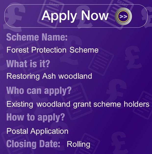 Forest Protection Scheme, Restoring Ash woodlands for Existing woodland grant scheme holders. Apply with Postal application, rolling