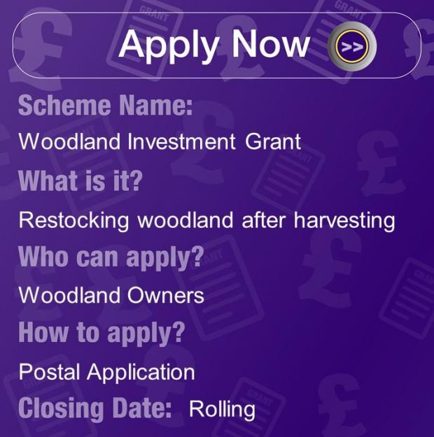 Woodland Investment Grant, Restocking woodland after harvesting for Woodland owners. Apply with Postal application, rolling